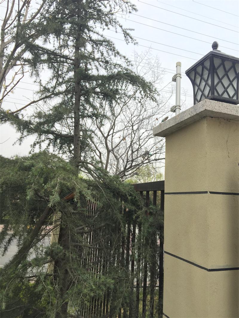 【绿色智慧住区】鲁商中心掠影(图11)