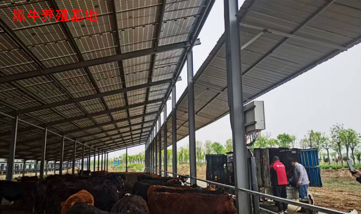 钢结构工程全流程服务：山东信桥钢结构有限公司(图13)